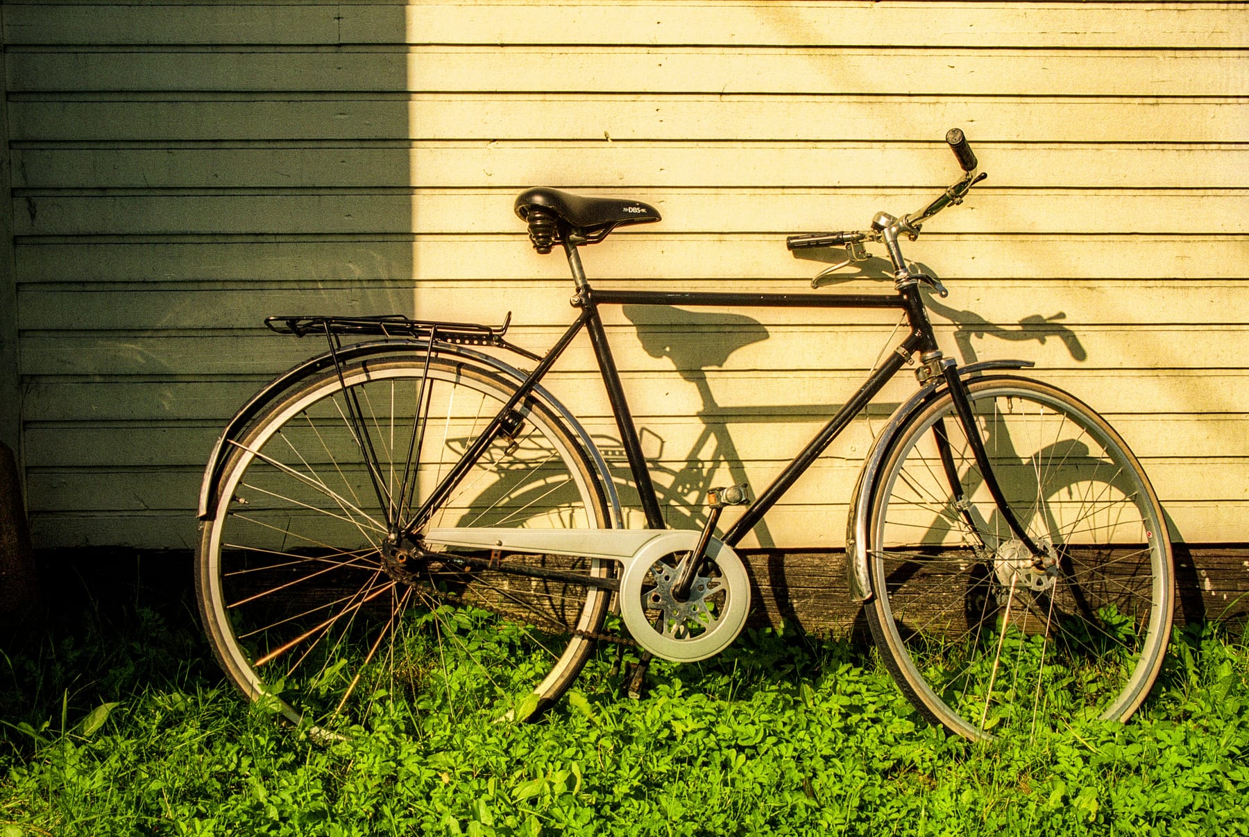 A bicycle leaning against a painted wall in bright grass