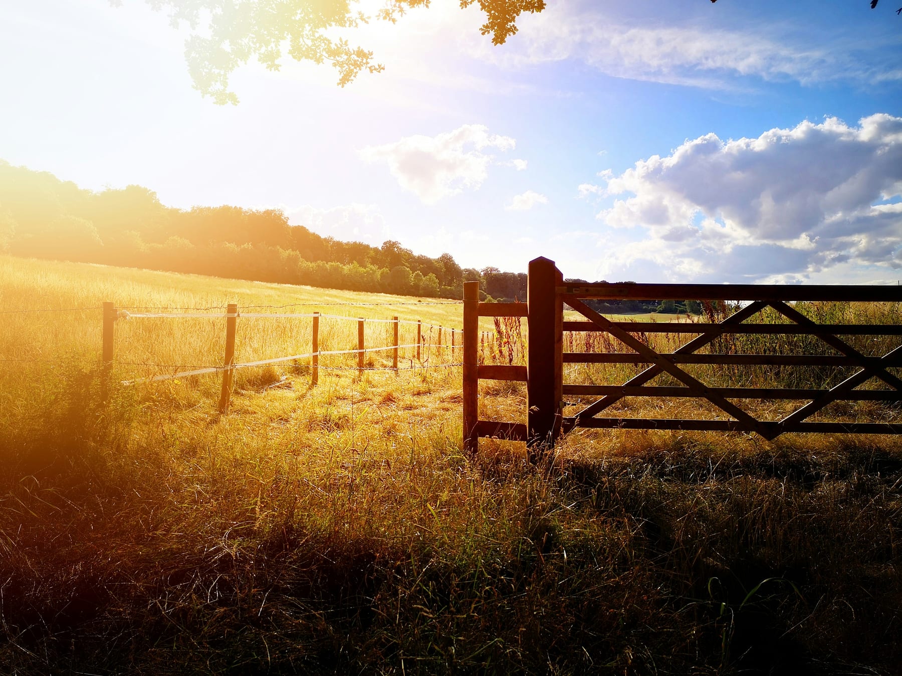 A wooden five-bar gate in a fence line, open field and sky beyond it