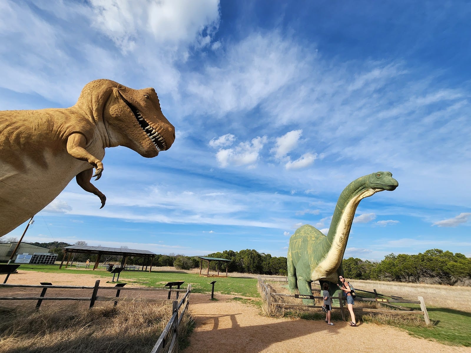 Dinosaur Valley State Park.